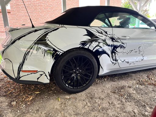 Silberner Sportwagen mit Drachen-Motiv auf der Karosserie.