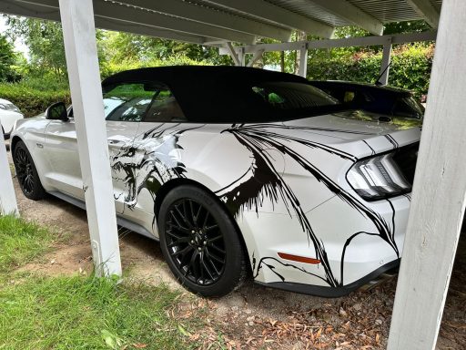 Ein silbernes Auto mit künstlerischem Schwarz-Weiß-Muster, parkt unter einem Carport.